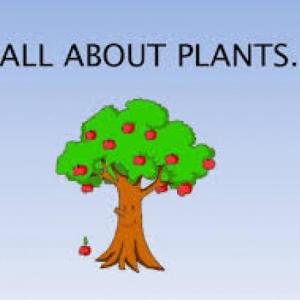 Imagen de portada del videojuego educativo: Unit 4: All about plants, de la temática Ciencias