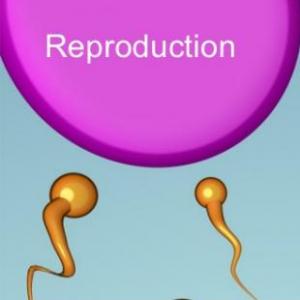 Imagen de portada del videojuego educativo: Unit 3: Reproduction (Multilevel), de la temática Ciencias