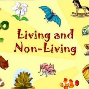 Imagen de portada del videojuego educativo: Living and Non Living Things, de la temática Idiomas