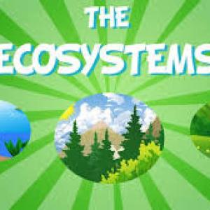 Imagen de portada del videojuego educativo: The Ecosystems Multilevel, de la temática Ciencias