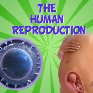 Imagen de portada del videojuego educativo: Unit 3: Reproduction (Level 2), de la temática Ciencias