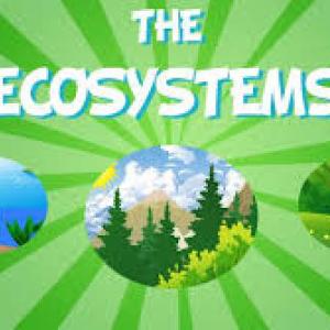Imagen de portada del videojuego educativo: The Ecosystems 2, de la temática Ciencias