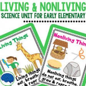 Imagen de portada del videojuego educativo: Living and Non Living Things Multilevel, de la temática Ciencias
