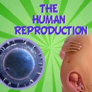 Imagen de portada del videojuego educativo: Unit 3: Reproduction, de la temática Ciencias