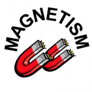 Imagen de portada del videojuego educativo: Unit 6: Magnetism (Multilevel), de la temática Ciencias