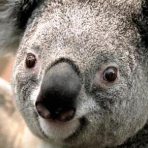 trivia de matematicas