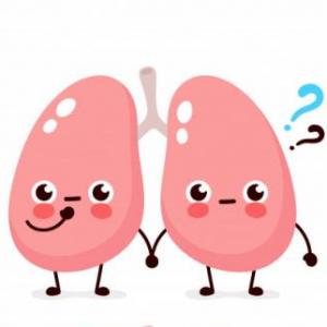 ¿Cuánto sabes sobre el sistema respiratorio?