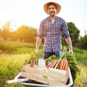 Preguntas sobre Verduras