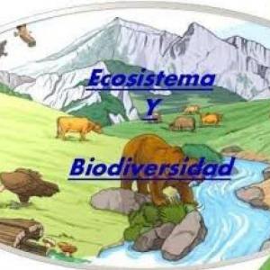 biodiversidad y ecosistemas