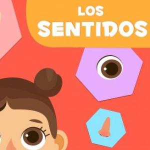 Descubre los 5 sentidos
