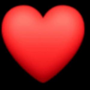 Amor