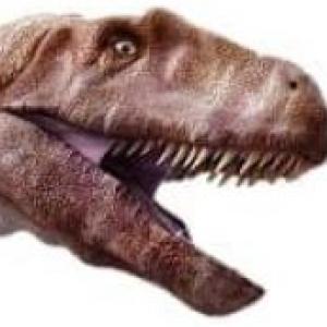 dinonombre