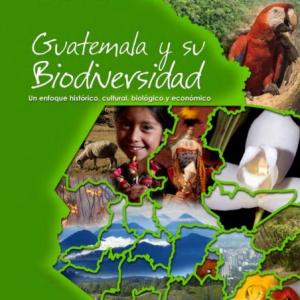 Imagen de portada del videojuego educativo: MINI- EVALUACION 3ro BASICO. BIODIVERSIDAD DEL TERRITORIO GUATEMALTECO, de la temática Sociales