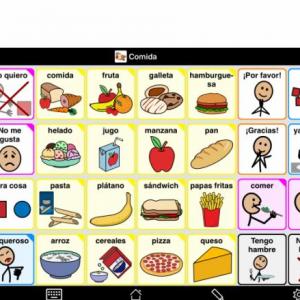 vocabulary