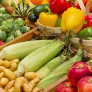 Duchazo de acceso a los alimentos.