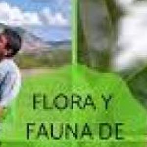 duchazo de flora y fauna