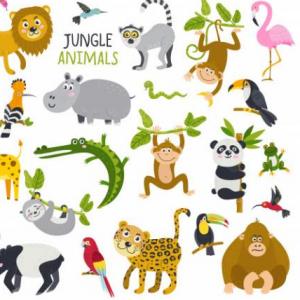 ANIMALES DE LA SELVA