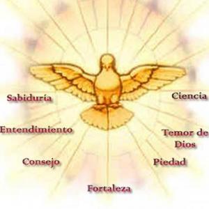 Aplicación de conocimientos Tema VII