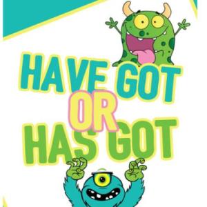 HAVE GOT/ HAS GOT