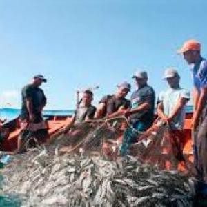 Pesca en el Callao