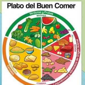 Alimentos saludables