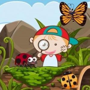 juego de la memoria de insectos