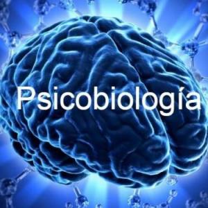 Enfoque psicobiológico