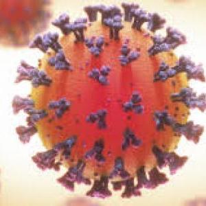 biologia