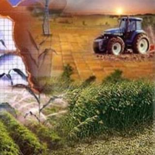 Imagen de portada del videojuego educativo: Monotributo: Agropecuarios, de la temática Derecho