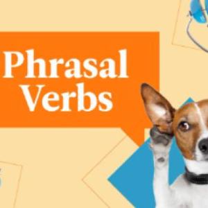 Learning Phrasal Verbs