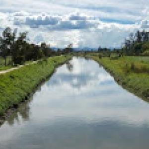 Have fun with Bogota's River