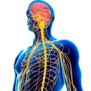 "Neuro Reto: ¡Pon a prueba tu cerebro!"