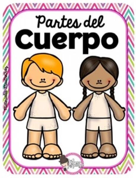 Partes del cuerpo