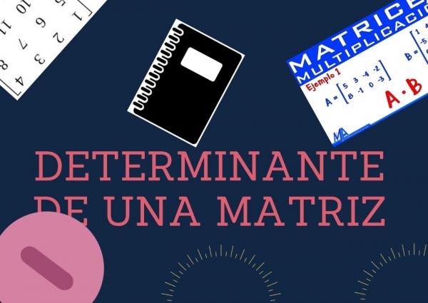 Juego sobre la determinante de una matriz