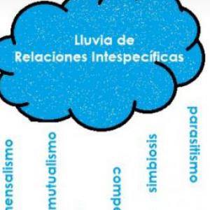Lluvia de Relaciones Interespecíficas