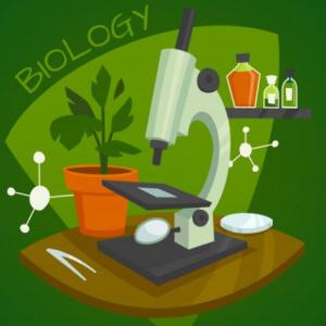 actividad biologia