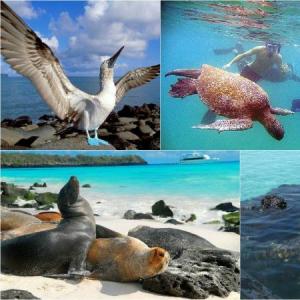 Conociendo Galápagos