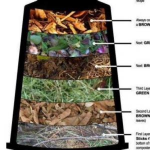 Disposición adecuada de residuos sólidos, de excretas y manejo de agua limpia