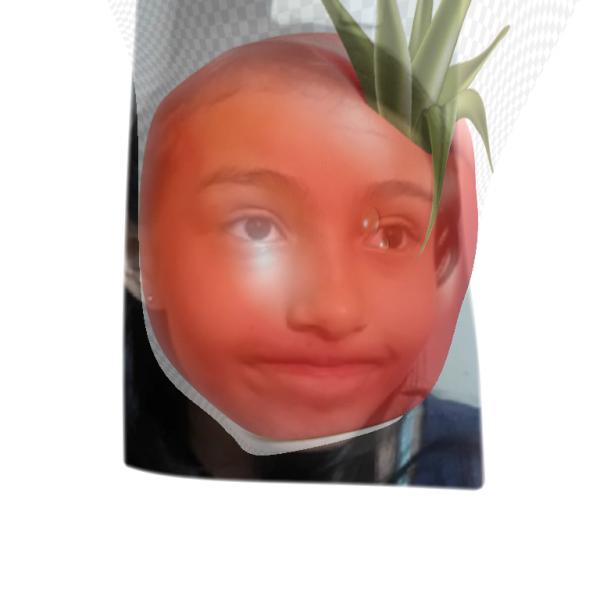 Sera cabeza o tomate??