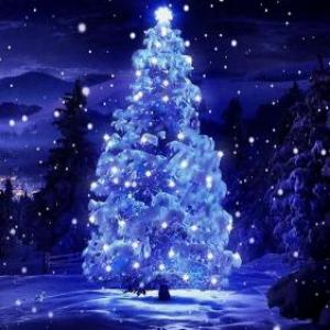 Portada del juego mi navidad – Festividades