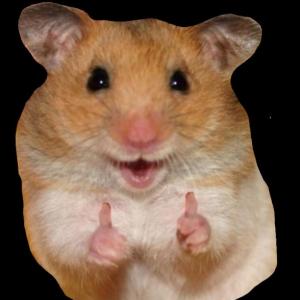 INFO- DIVIERTETE 