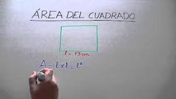 Área