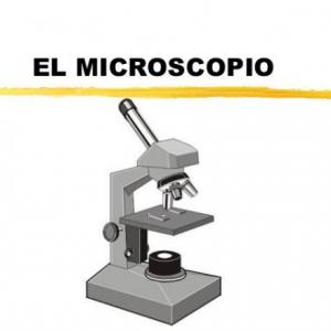 Memorama del Microscopio