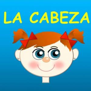 Acciones y partes de la cara