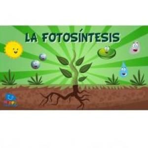 Bioquest