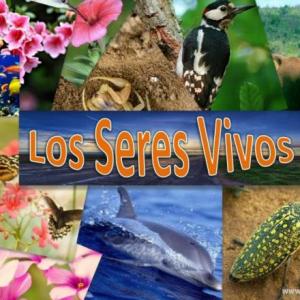 ADAPTACIONES DE LOS SERES VIVOS AL AMBIENTE