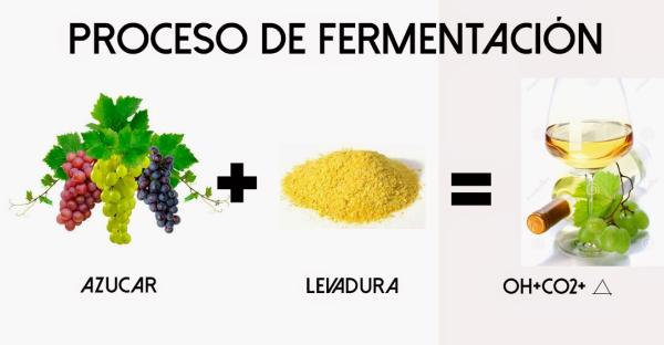 Fermentación