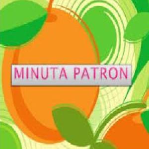 Minuta Patrón