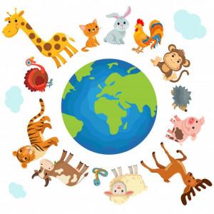 multinivel