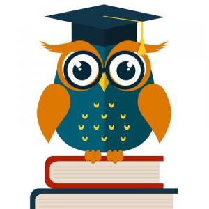 Portada del juego Wise of english! – Idiomas